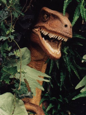 Cliff Raptor