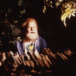 David Bellamy within Scene