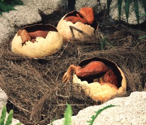 Therizionosaur Embryos