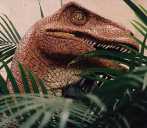Head Raptor