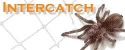 Intercatch Ltd. Uk business search acility