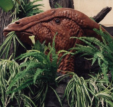 Parasaurolophus