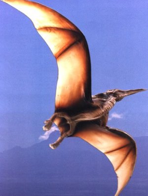 Pterodactyl