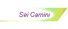 Sei Camini