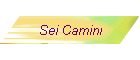 Sei Camini