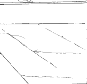 bottright.gif (1030 bytes)