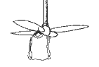 fan38a.GIF (3882 bytes)