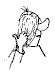 gossip1.gif (4385 bytes)