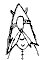 gossip4b.gif (4177 bytes)