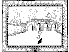 shark13.gif (19921 bytes)