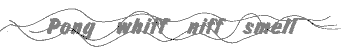 smell.gif (16074 bytes)