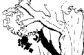 tree2.gif (1554 bytes)