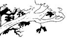 tree3.gif (1395 bytes)