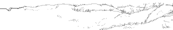 tree33_345.gif (2074 bytes)