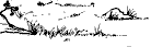 tree4.gif (895 bytes)