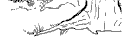 tree5.gif (771 bytes)