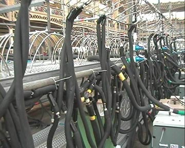 The cooling system.