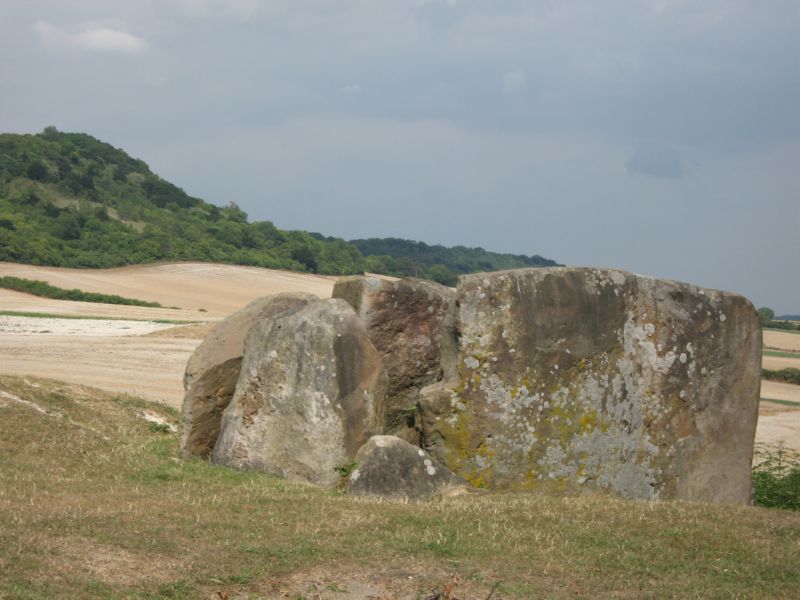 The North Downs