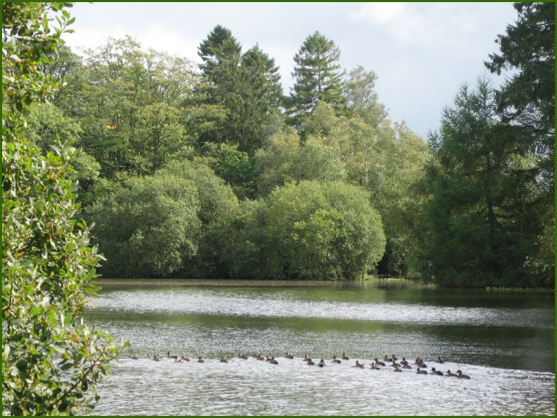 Ratherheath Tarn