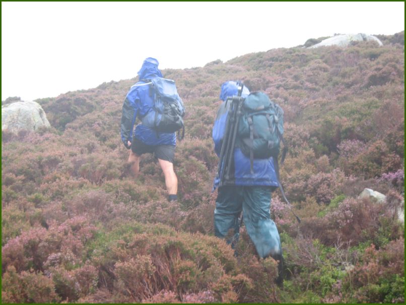 Ascending Red Pike