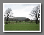 [Click to enlarge image]