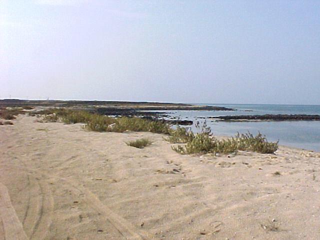 beach1