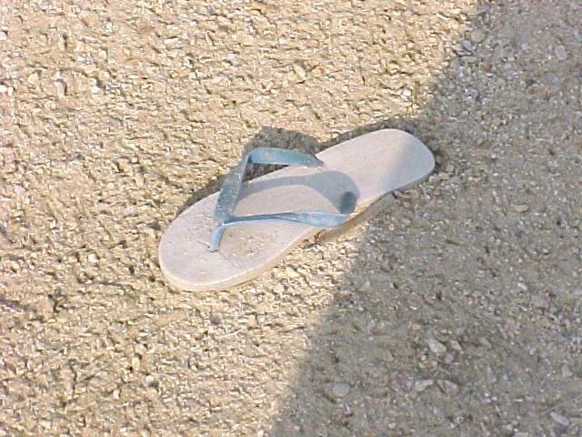 Blue Flip-Flop