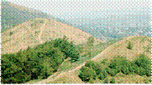 Looking North from Pinnacle Hill