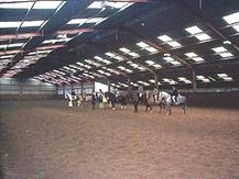 Indoor Arena