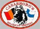 CASARBORGS