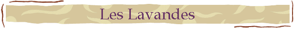 Les Lavandes