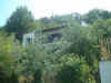 House from road.jpg (29325 bytes)