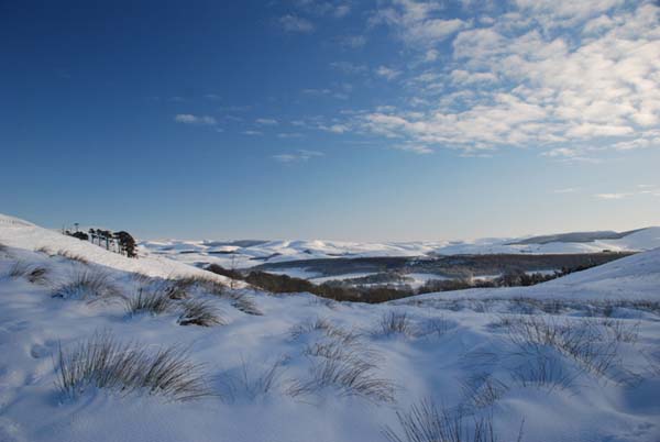 The Big Freeze