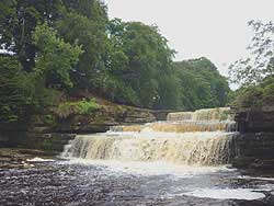 Herriot's Dales