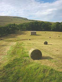 UK walking holidays & hiking vacations in England: Lake District, Yorkshire Dales, Cumbria. Small friendly groups, hotels & transport with experienced guides.