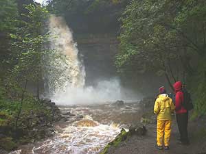 Hardraw Force