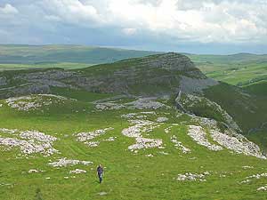 Smearsett Scar