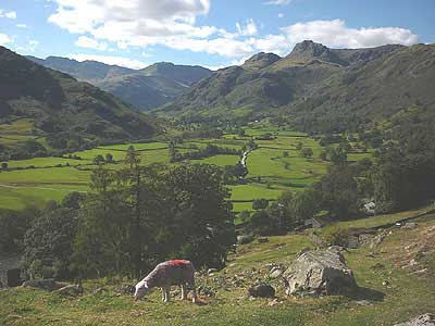 Langdale