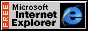 MS Internet Explorer Logo.