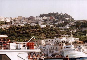 It's crowded up there