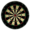 darts.gif (8019 bytes)