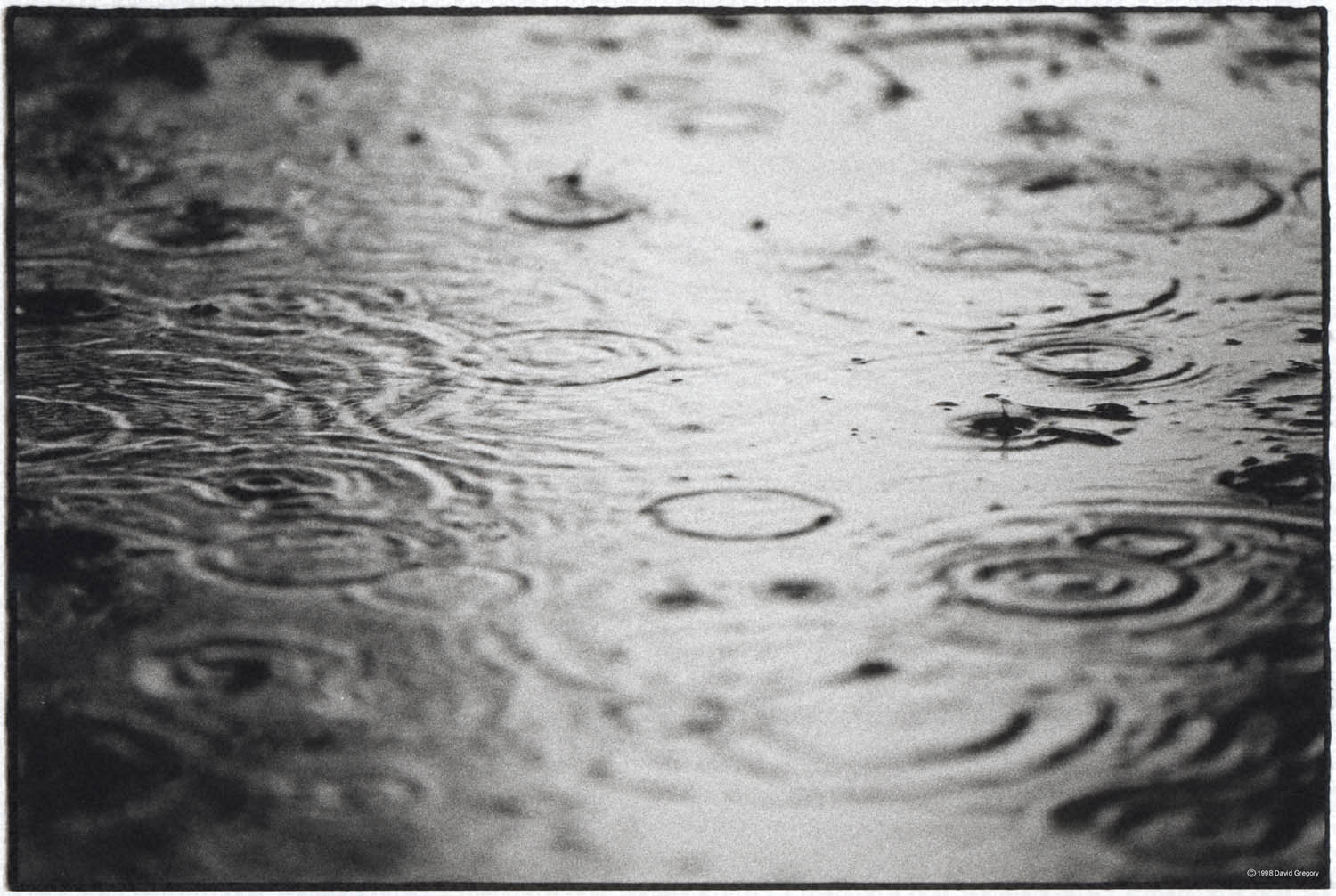 Rainhuge.jpg (192249 bytes)