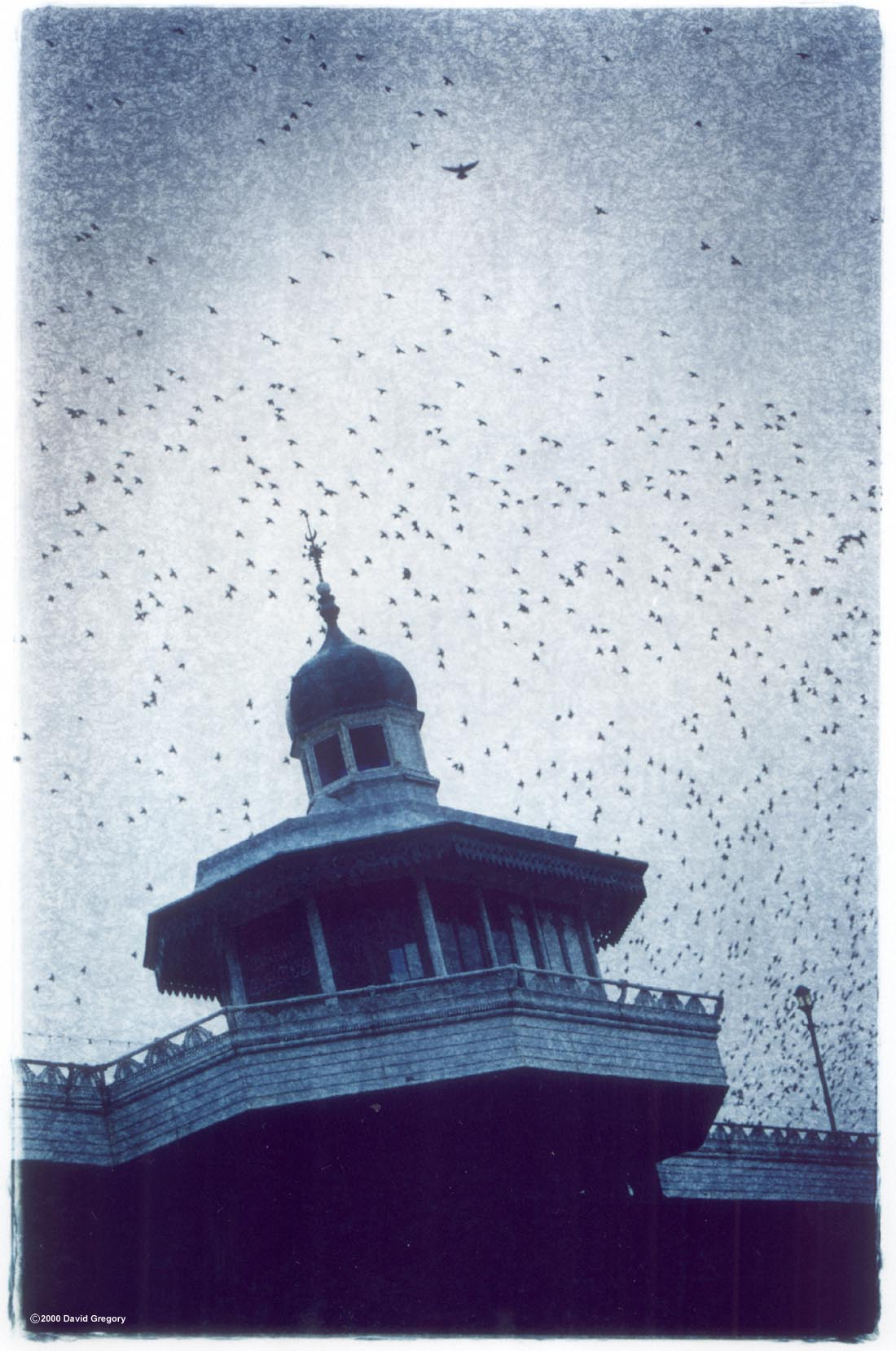 freeedom-huge.jpg (199309 bytes)