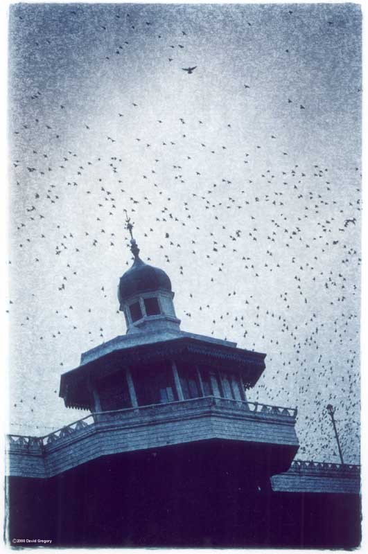 freeedom.jpg (56081 bytes)