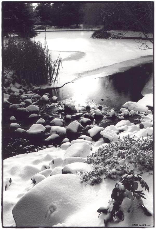 frozenlakebig.jpg (90736 bytes)