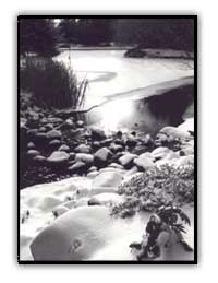 frozenlakesmall.jpg (17171 bytes)