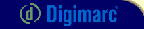 logo.gif (670 bytes)