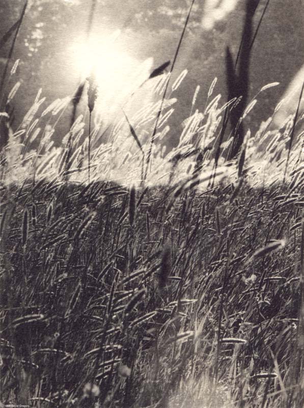 sunrisebig.jpg (104827 bytes)