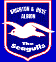 Seagulls badge
