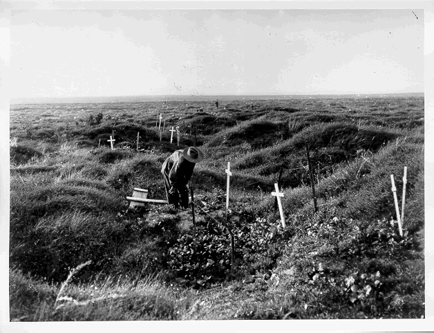 Temporary Australian graves 16 Sept 1917
